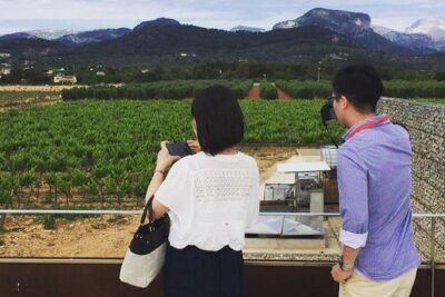 Sa Clasta Mallorca Wine Tours - Stop one in the heart of Mallorca: tastings with tradition and standout bottles