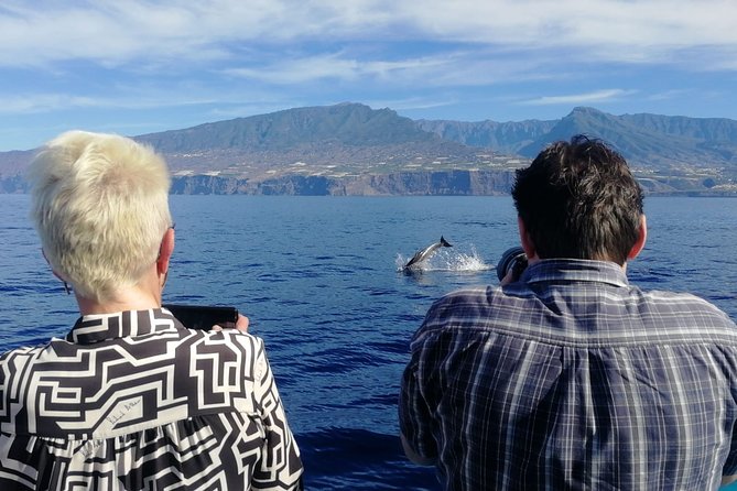 Safari Cumbre Vieja - Who this cruise is best for on La Palma