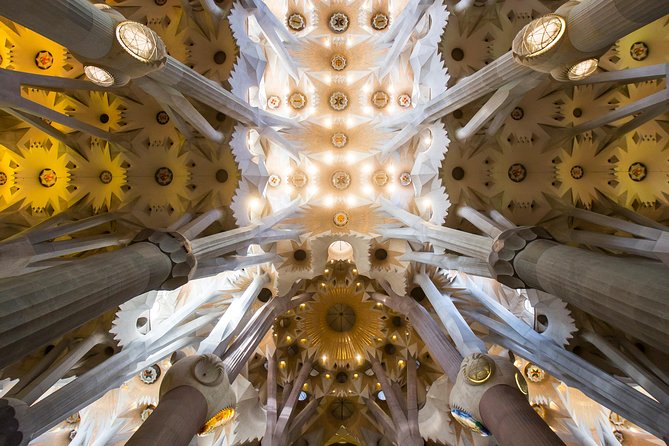 Sagrada Familia & Park Guell Guided Tour with Skip The Line - Park Güell First: Views, Mosaics, and the Walk That Counts