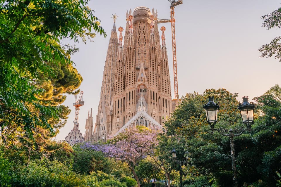 Sagrada Familia with Official Guide & Fast-Track Entry - Inside the basilica: stained glass and the forest-column effect