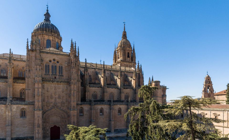 Salamanca: Cathedral of Salamanca Ticket with Audio Guide - Key Things You’ll Like About This Cathedral Ticket