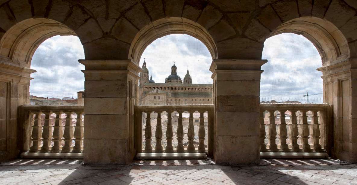 Salamanca: Monterrey Palace Audio-Guided Tour - Palacio de Monterrey in one hour: what the audio tour actually gives you
