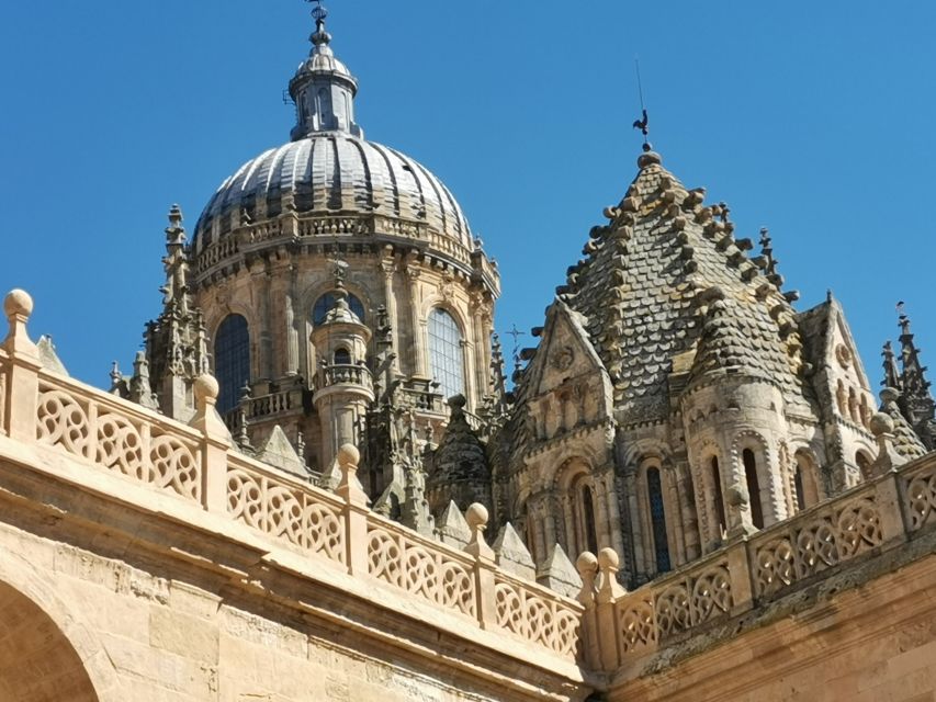 Salamanca: Monuments and Landmarks Guided Walking Tour - Extended tour option: add two monuments in the same Salamanca flow