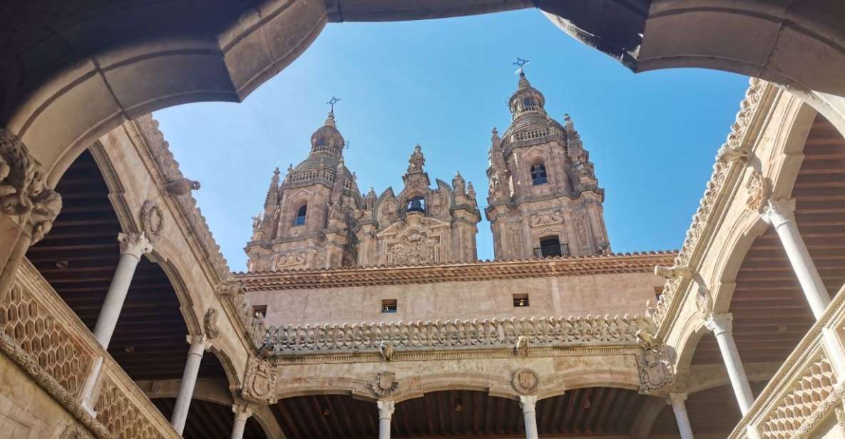 Salamanca: Monuments and Landmarks Guided Walking Tour - Monterrey’s Palace: a quick stop that adds meaning