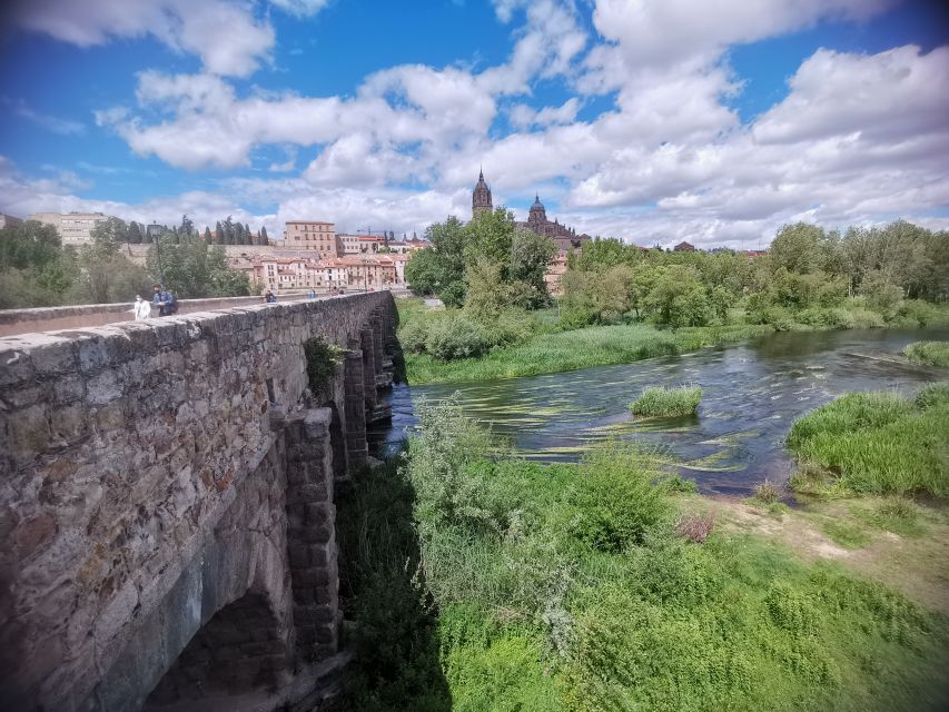 Salamanca: Monuments and Landmarks Guided Walking Tour - Price and value for a $29, 2–3 hour walk