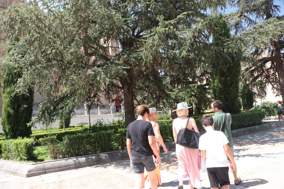 Salamanca: Private Walking Tour with a Local - Key things that make this Salamanca walk worth it