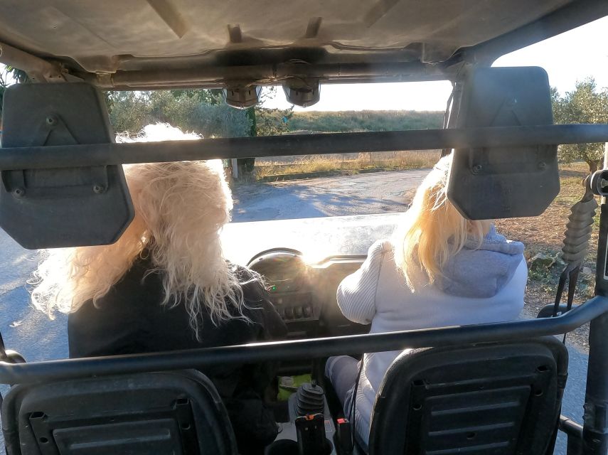 Salou: Buggy Safari with Hotel Transfer - Price and what $177 per group up to 2 really covers