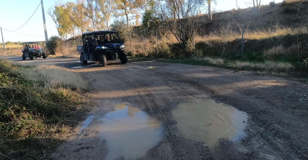 Salou: Buggy Safari with Hotel Transfer - Who should book this buggy safari, and who should skip it
