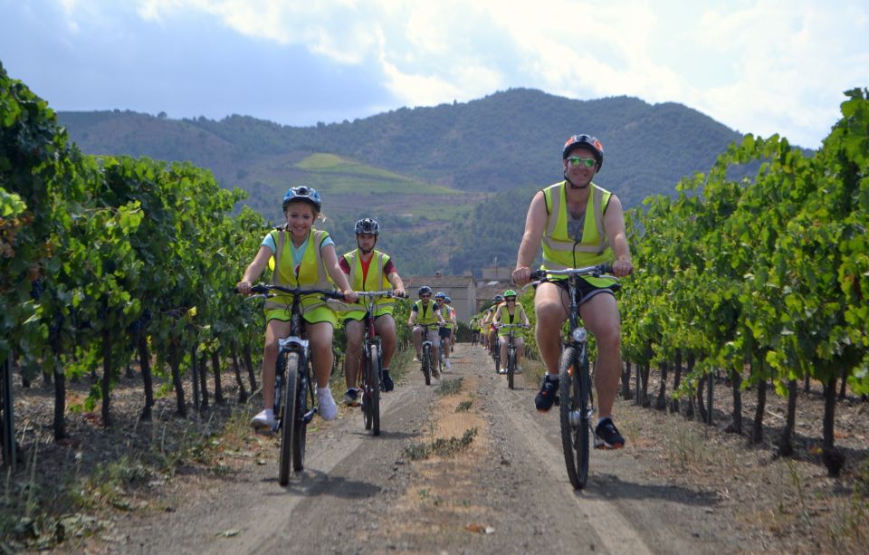 Salou: Easy Bike Tour with Wine Tasting - The tasting: two award-winning vintages, guided and enjoyable