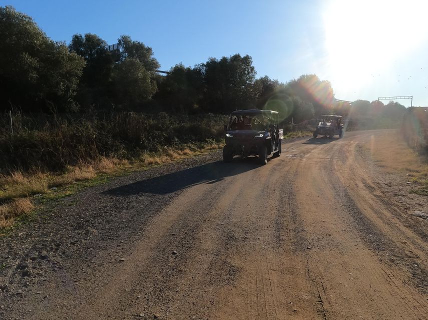 Salou: Kid's Buggy Driving Experience in Safe Environment - Why Salou’s kid buggy circuit is such a good family fit