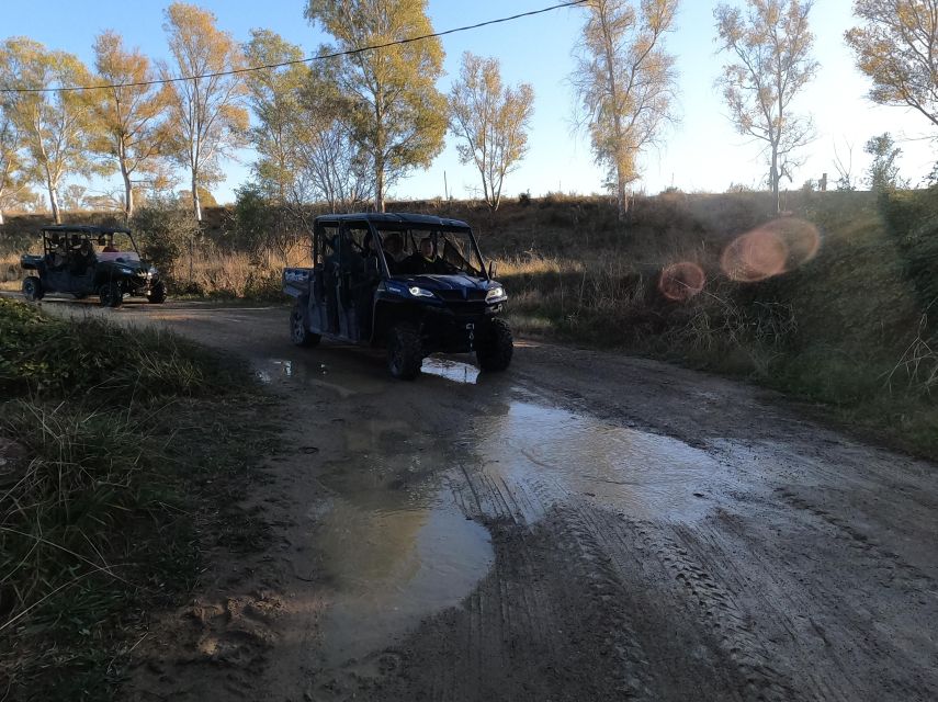 Salou: Kid's Buggy Driving Experience in Safe Environment - Who this buggy experience suits best