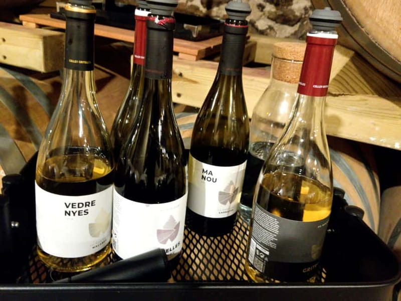 Salou: Priorat tasting Wine-Cellar Tour with hotel pickup - Why the wine education here feels practical (not just a scripted toast)