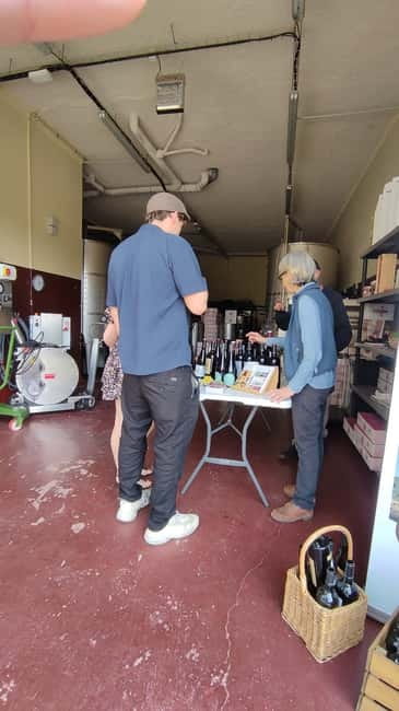 Salou: Priorat tasting Wine-Cellar Tour with hotel pickup - Price and timing: does $55 for 3 hours make sense?