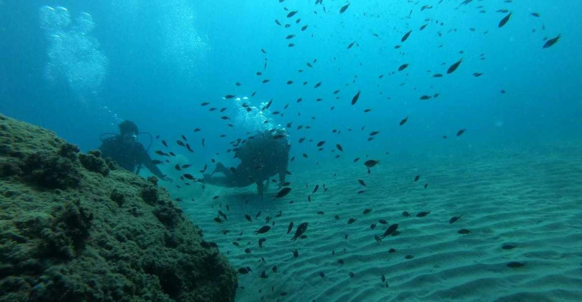 Salou: Scuba Diving for Beginners - Key highlights to expect