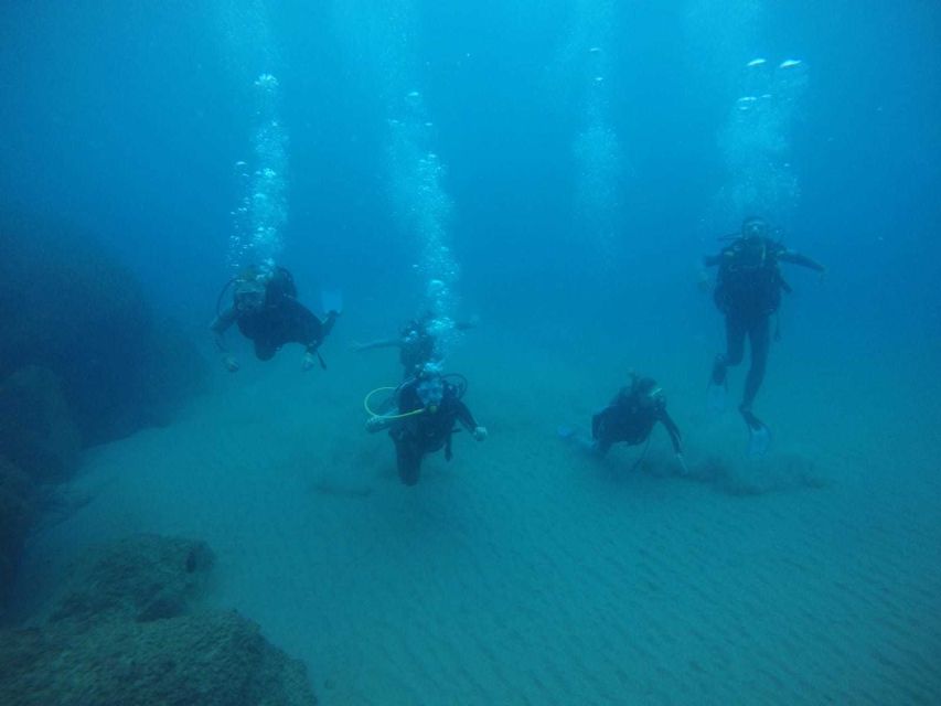 Salou: Scuba Diving for Beginners - Gear, instructor support, and what’s included