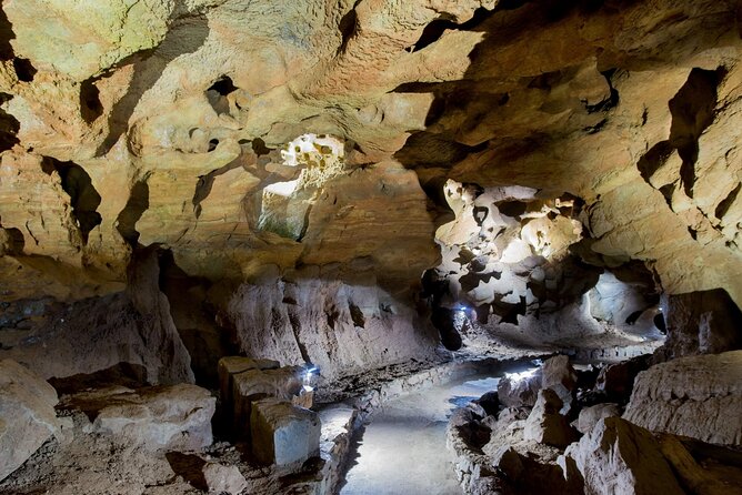San Jose Caves Guided Tour from Valencia - Price and Value: Is $83.44 Fair for What You Get?