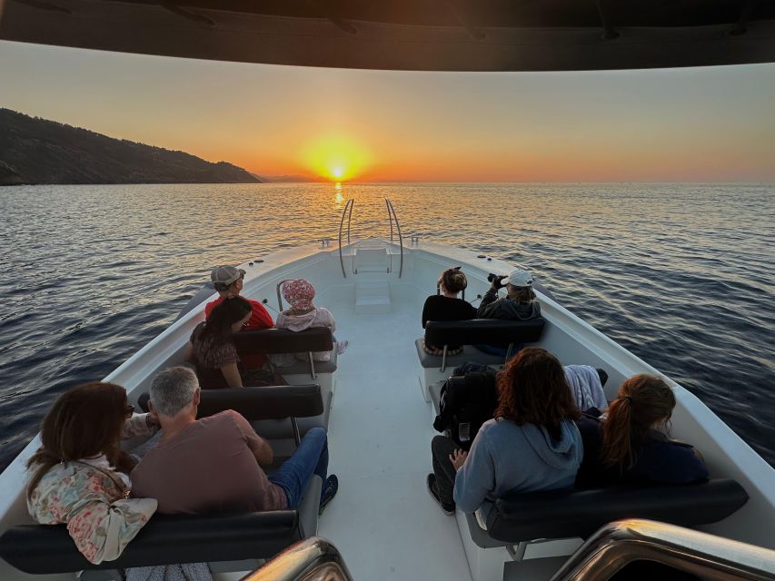 San Sebastian: 2 Bays Evening or Sunset Boat Tour with Cava - Meeting at Mollaberria Kalea 2 and finding the right boat