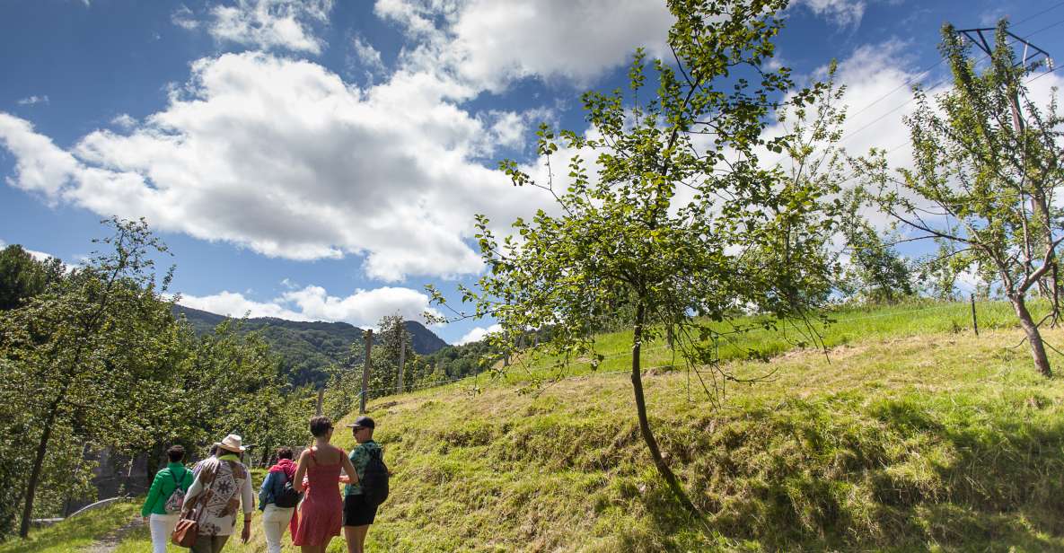 San Sebastián: Traditional Cider House Tour with Lunch - Meeting the Sagardoa Route Van: Getting Out of San Sebastián Fast