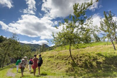 San Sebastián: Traditional Cider House Tour with Lunch - Why Gipuzkoa’s Cider Country Still Matters