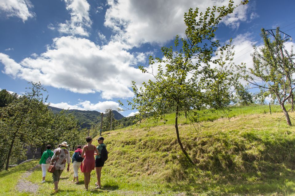 San Sebastián: Traditional Cider House Tour with Lunch - Why Gipuzkoa’s Cider Country Still Matters