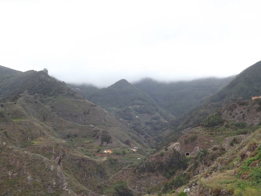 Santa Cruz de Tenerife: 2-Hour Hiking Tour in Anaga Forest - Anaga Forest Laurel Walk: Why This 2.5 Hours Works So Well