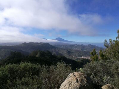 Santa Cruz de Tenerife: 2-Hour Hiking Tour in Anaga Forest - You Start at Cafetería Carmita (And Sometimes Get Help With Transport)