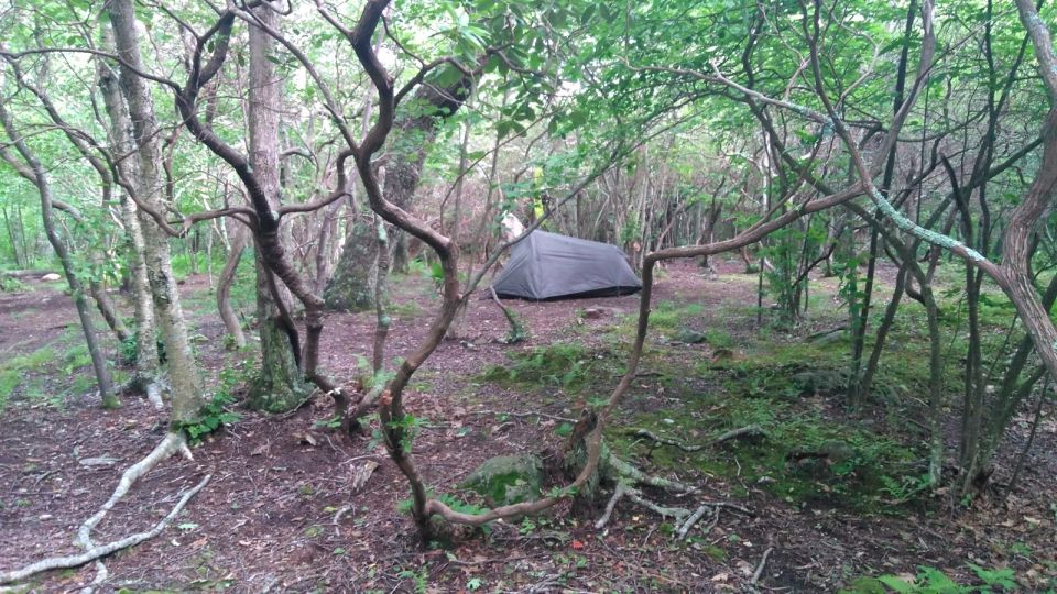 Santa Cruz de Tenerife: 2-Hour Hiking Tour in Anaga Forest - Who This Tour Suits Best (And Who Might Want Something Else)