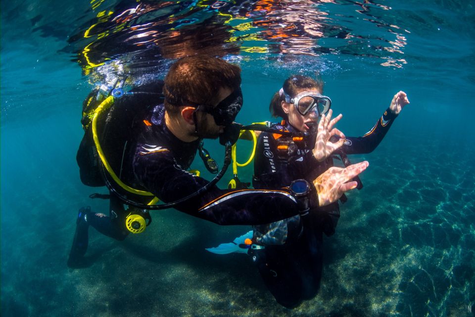 Santa Cruz de Tenerife: Beginner's Diving & Introduction - Key highlights you’ll actually care about