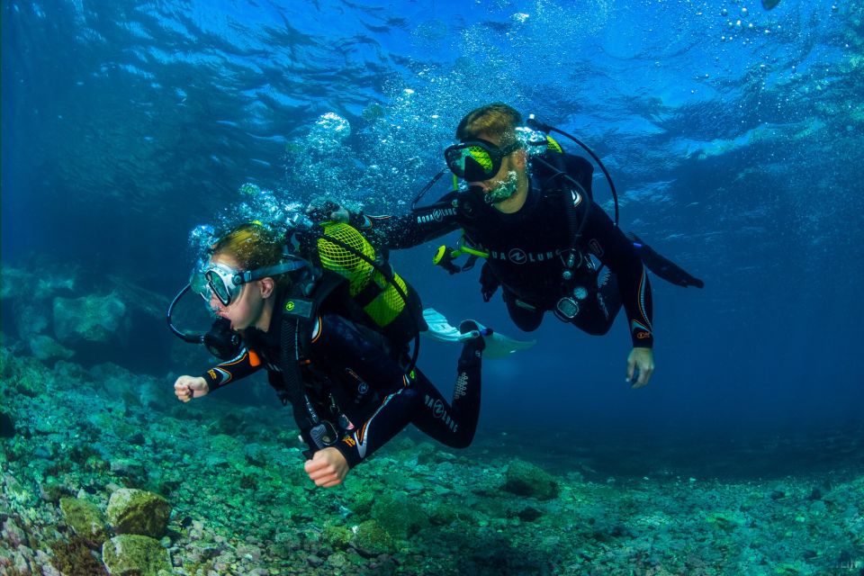 Santa Cruz de Tenerife: Beginner's Diving & Introduction - Santa Cruz de Tenerife scuba try session: why this format works