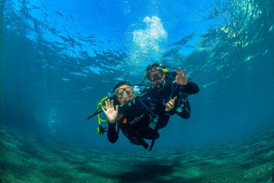 Santa Cruz de Tenerife: Beginner's Diving & Introduction - Facilities and comfort: showers, photos, and a no-stress finish