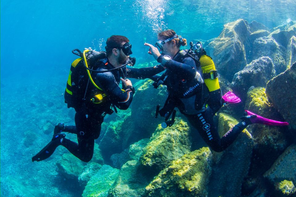 Santa Cruz de Tenerife: Beginner's Diving & Introduction - Who this works best for (and how to get the most out of it)