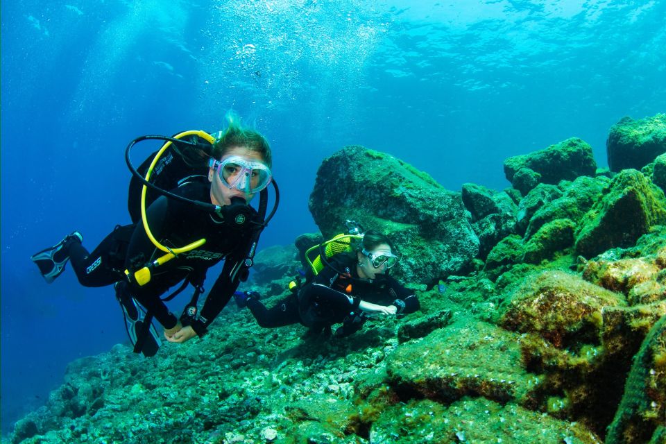 Santa Cruz de Tenerife: Beginner's Diving & Introduction - The 30–60 minutes before the water: gear basics that reduce panic