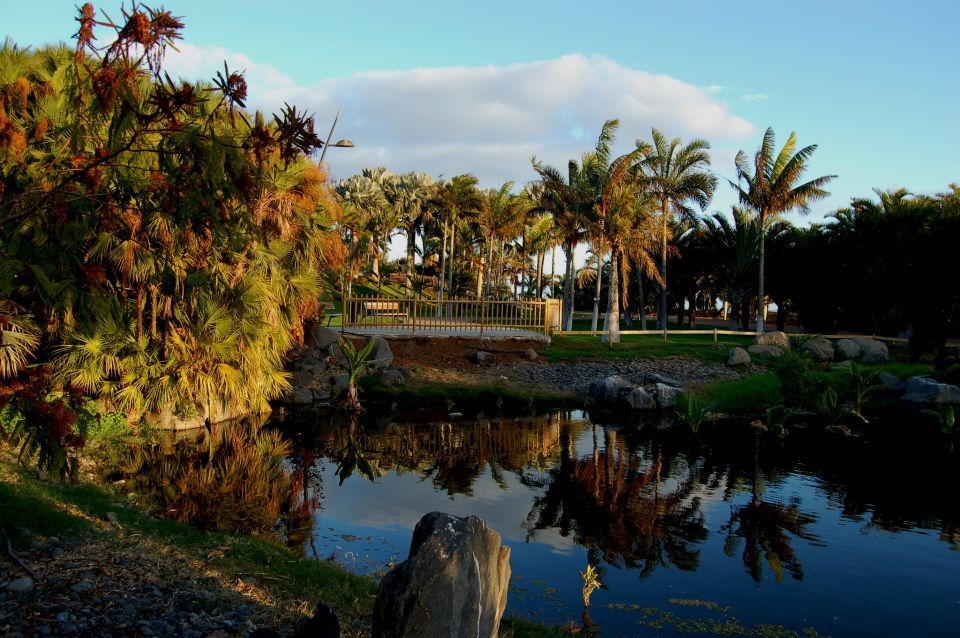 Santa Cruz de Tenerife Palmetum Entry Ticket - Key Takeaways Before You Go