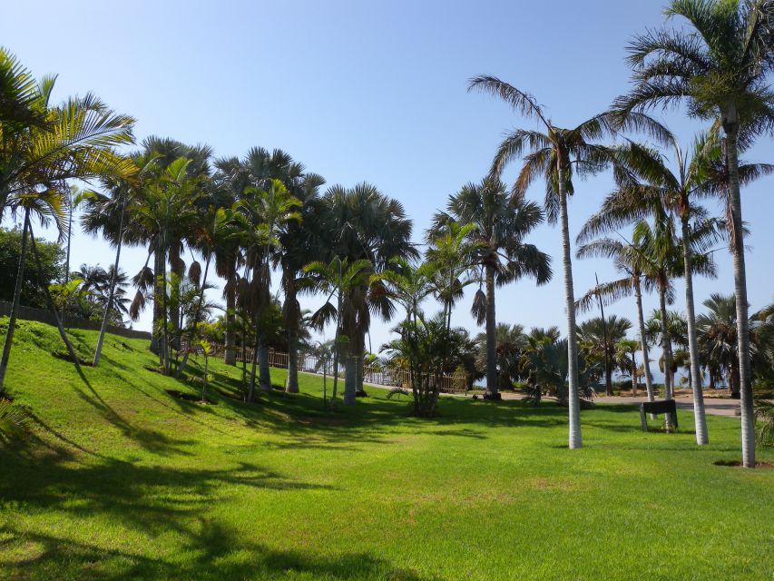 Santa Cruz de Tenerife Palmetum Entry Ticket - Water, Rocks, and the Garden’s Built-in Relaxation