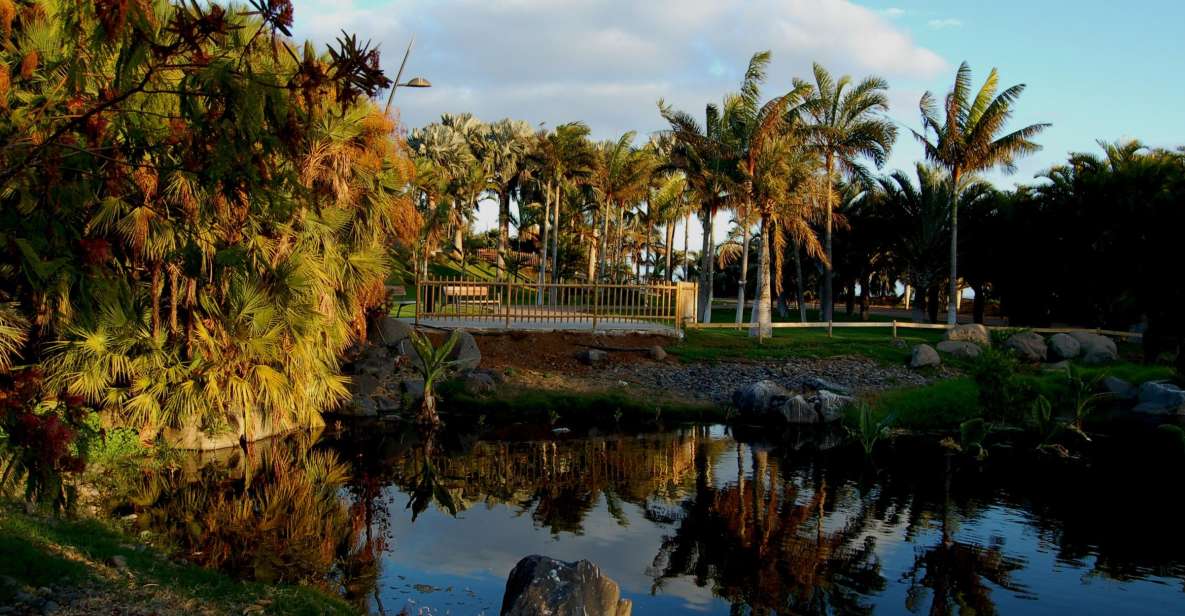 Santa Cruz de Tenerife Palmetum Entry Ticket - The Big Story: A Landfill Rebuilt Into a Botanical Park