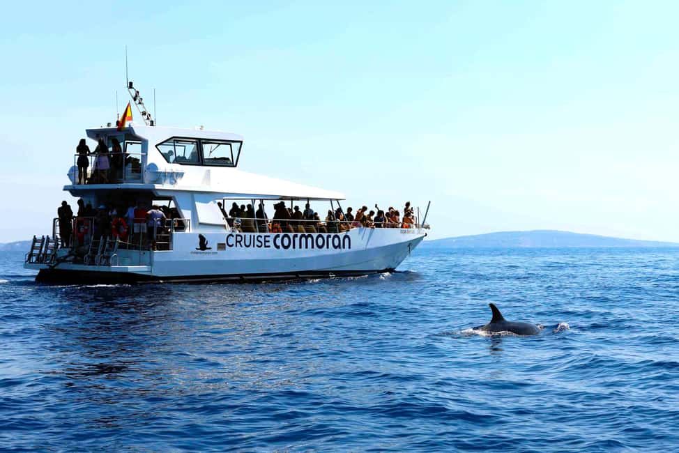 Santa Ponsa: Dolphin Watching Cruise - On board comfort: sun deck choices, seating, and how big the boat feels