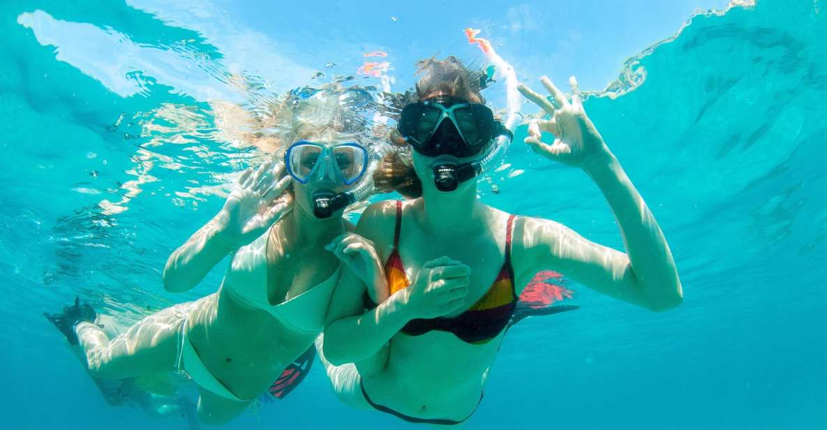 Santa Ponsa: Snorkeling Tour in a Marine Reserve - Las Malgrats Marine Reserve: why this snorkel tour works