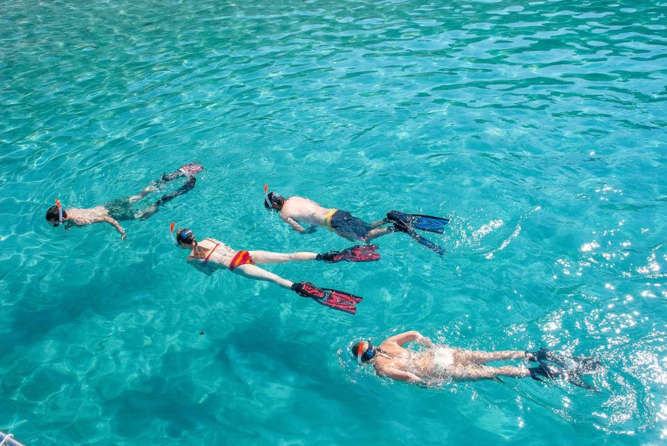 Santa Ponsa: Snorkeling Tour in a Marine Reserve - Gear and neoprene suit: comfort that changes everything