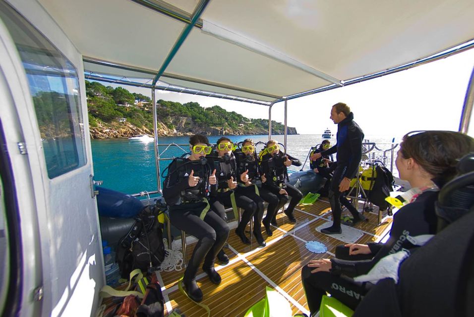 Santa Ponsa: Try Scuba Diving in a Marine Reserve - The Pace: Van Time, a Break in Santa Ponsa, and Back to Palma Area