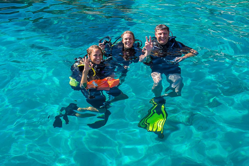 Santa Ponsa: Try Scuba Diving in a Marine Reserve - Getting There: Santa Ponsa, Van Ride, and a Private Marina Meeting Point