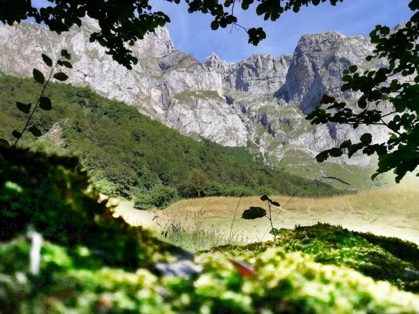 Santander: Picos, Santo Toribio Monastery and Potes Day Tour - Horse riding in summer: a real choice, not an add-on