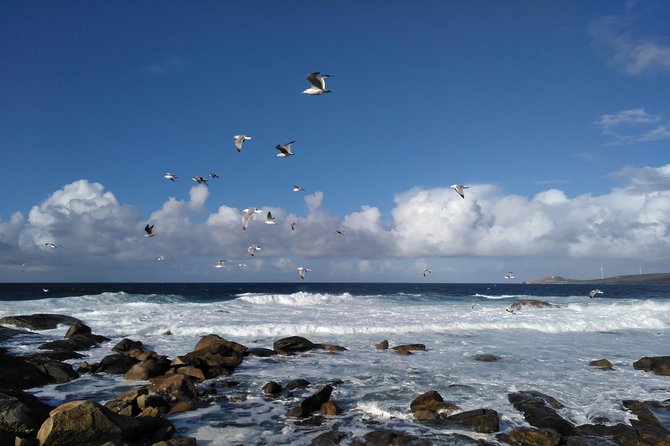 Santiago de Compostela: Finisterre, Muxia & Costa da Morte - Carnota, Lira, Boca do Río, Mount Pindo, Cape Viewpoints