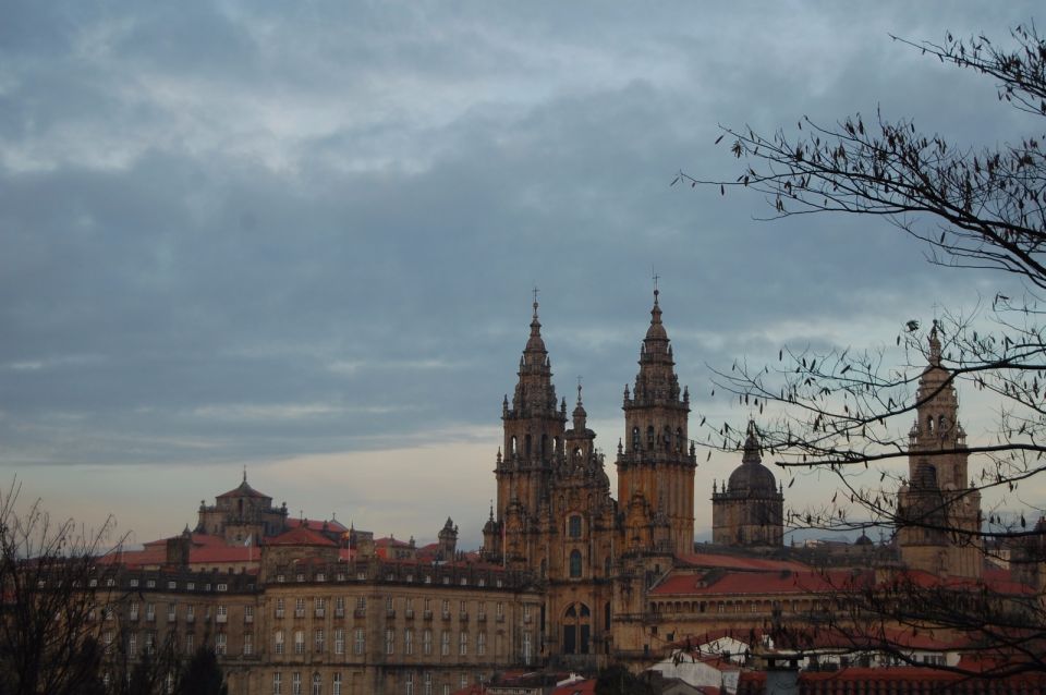 Santiago de Compostela: Private Guided Tour in two hours - Cathedral Stops: What You’ll Learn at Obradoiro Square