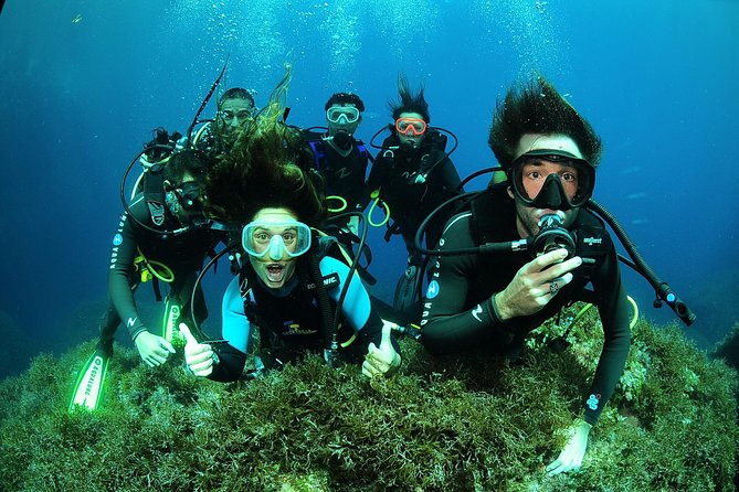 Scuba Diving Baptism and Snorkeling in Ibiza - Why Ibiza’s UNESCO Posidonia zone works so well for first-timers