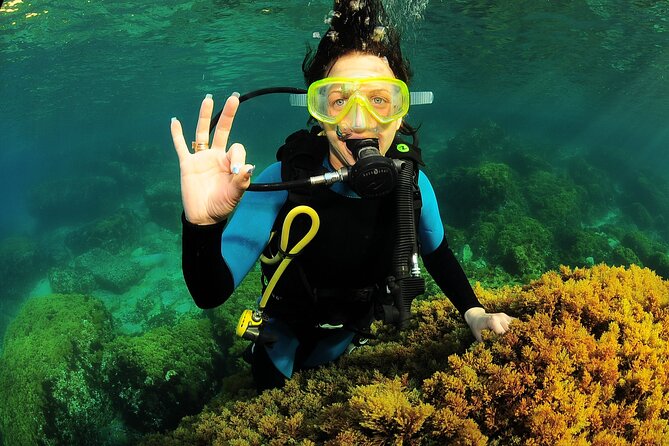 Scuba Diving Baptism and Snorkeling in Ibiza - Weather and communication: Ibiza’s sea can be picky