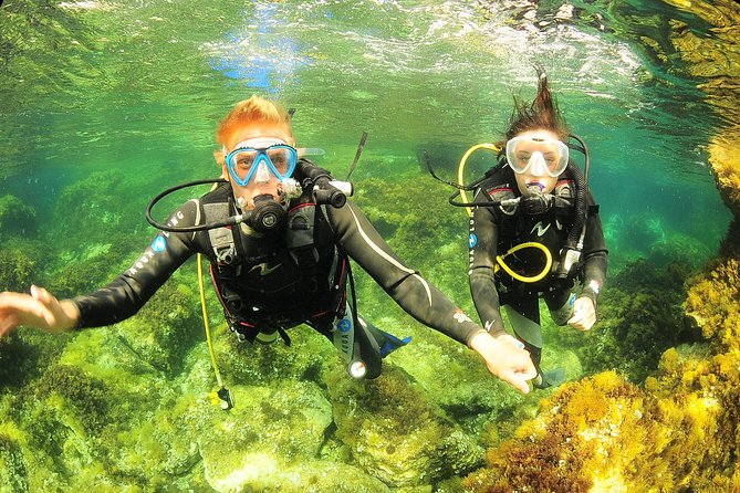 Scuba Diving Baptism and Snorkeling in Ibiza - The 4-hour rhythm: theory, gear, and about 35 minutes underwater