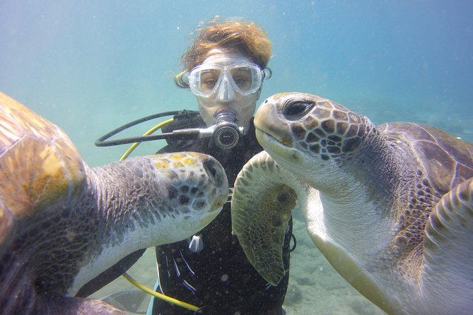 Scuba Diving Beginner's Session in Costa Adeje - What You Learn First (Before You Ever Go Deeper)