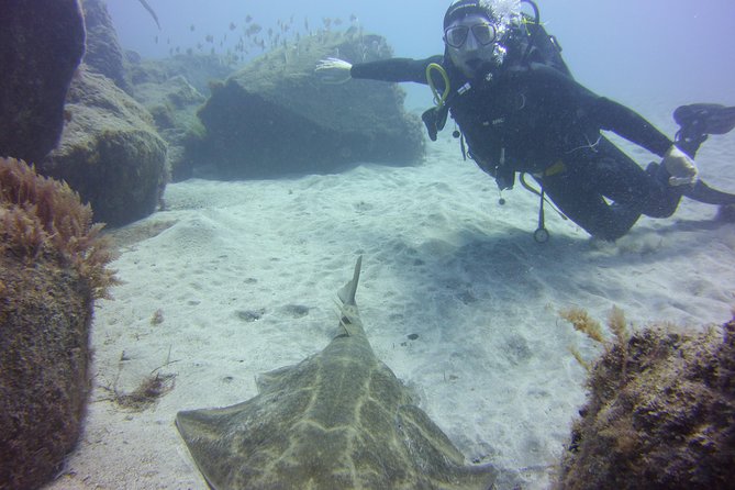 Scuba Diving Beginner's Session in Costa Adeje - Instructor Care in the Water: What Safety Really Looks Like