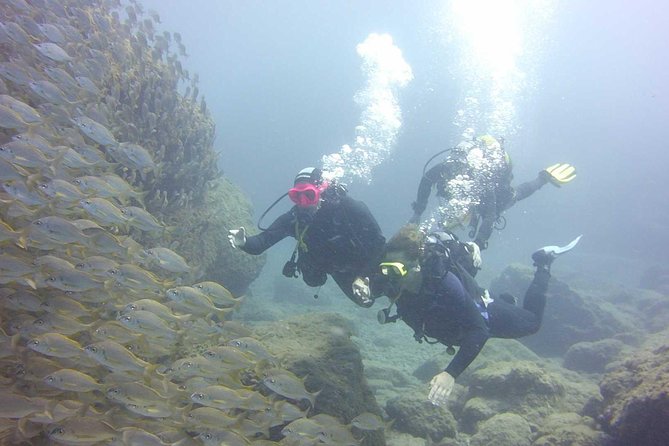 Scuba Diving Beginner's Session in Costa Adeje - Price and Value: Is $114.93 a Good Deal?