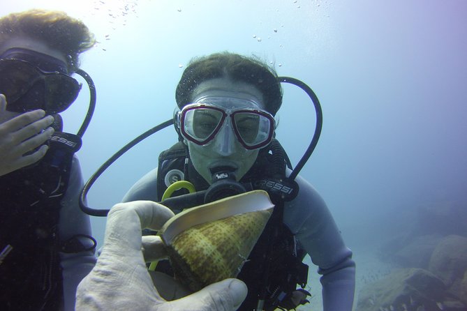 Scuba Diving Beginner's Session in Costa Adeje - Timing, Flights, and Health Stuff You Can’t Ignore